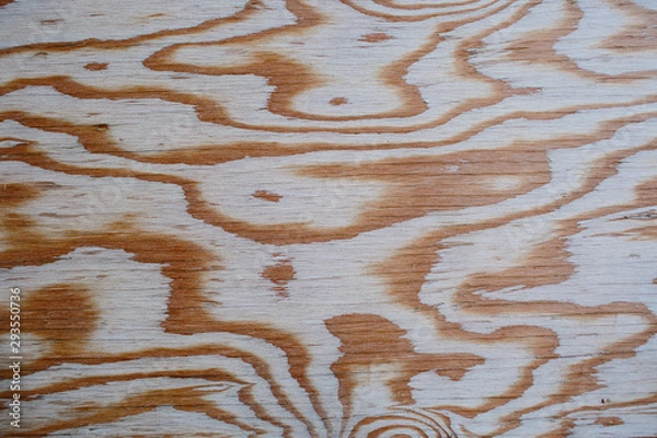 Obraz Wood grainy textured