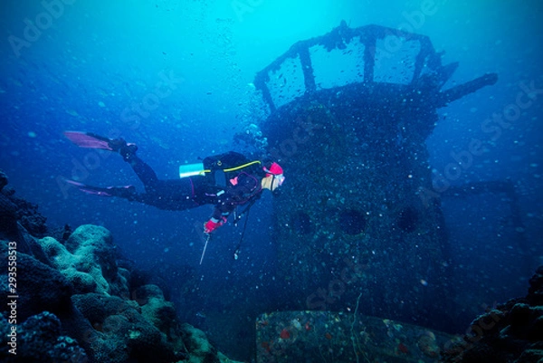 Obraz Divers and Marine shipwreck