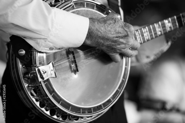 Obraz banjo bw