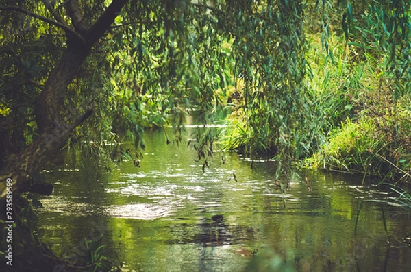 Obraz Ручеёк, река, ручей, парк, скверик. 