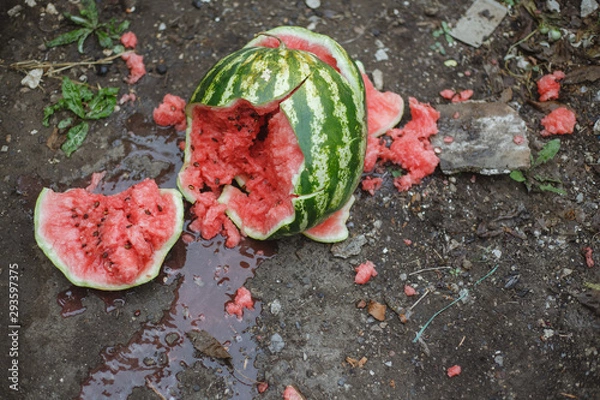 Obraz Watermelon fell on the ground, black background.