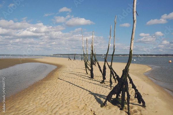 Obraz bassin d'arcachon