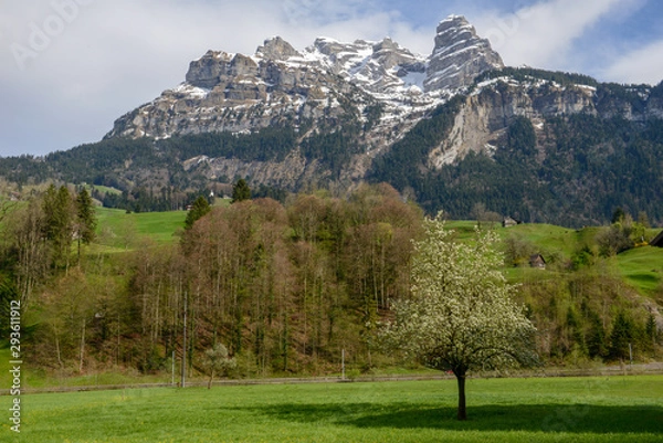 Fototapeta Landscape at the village of Grafenort on Switzerland