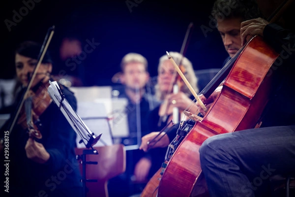 Fototapeta contrebasse