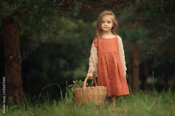 Obraz girl with a basket of apples