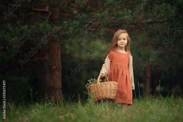 Obraz Full Length shot of caucasian girl with wicker basket standing in the green forest