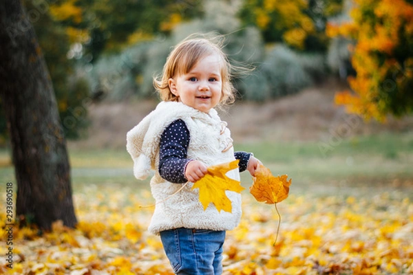 Fototapeta Little toddler girl is playing in fallen leaves in autumn park.