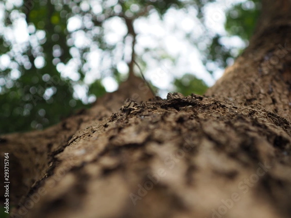 Obraz OLYMPUS DIGITAL CAMERA