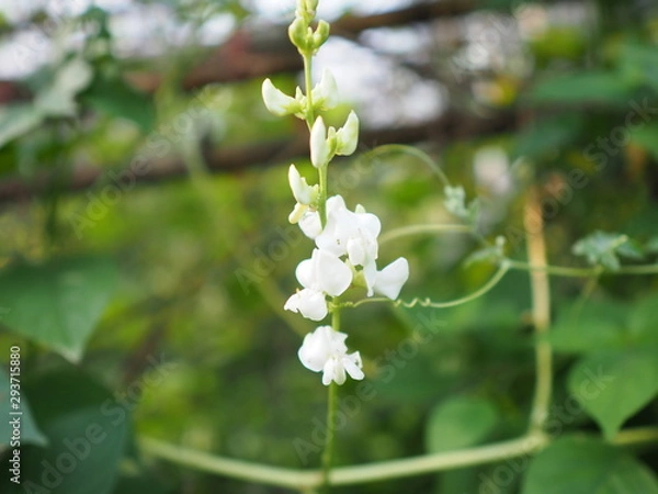 Obraz OLYMPUS DIGITAL CAMERA