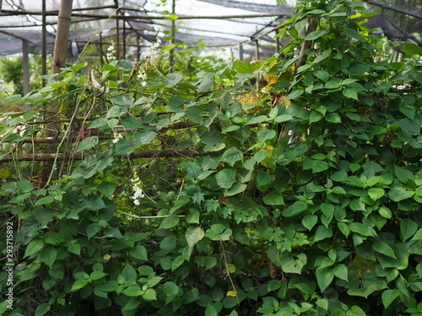 Obraz OLYMPUS DIGITAL CAMERA