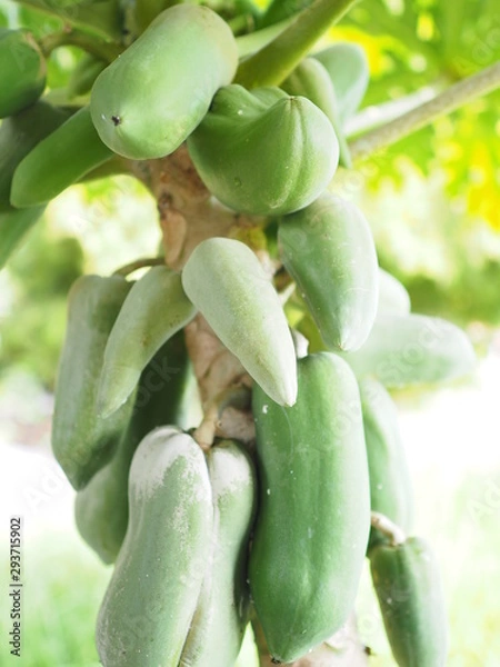 Obraz OLYMPUS DIGITAL CAMERA