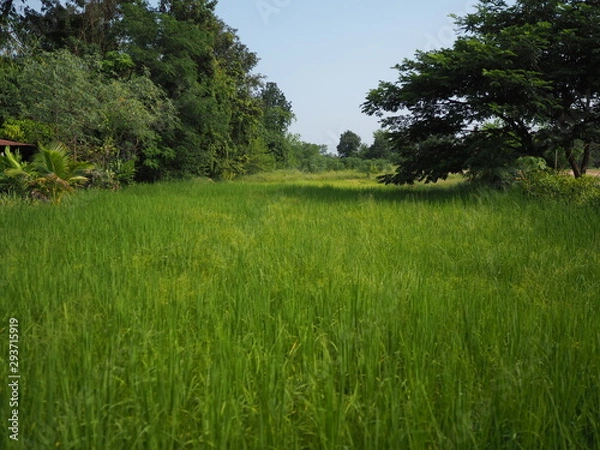 Obraz OLYMPUS DIGITAL CAMERA