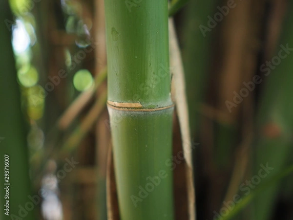 Obraz OLYMPUS DIGITAL CAMERA