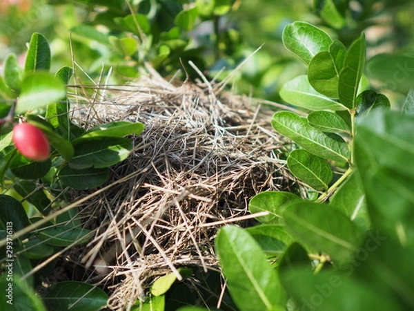 Obraz OLYMPUS DIGITAL CAMERA