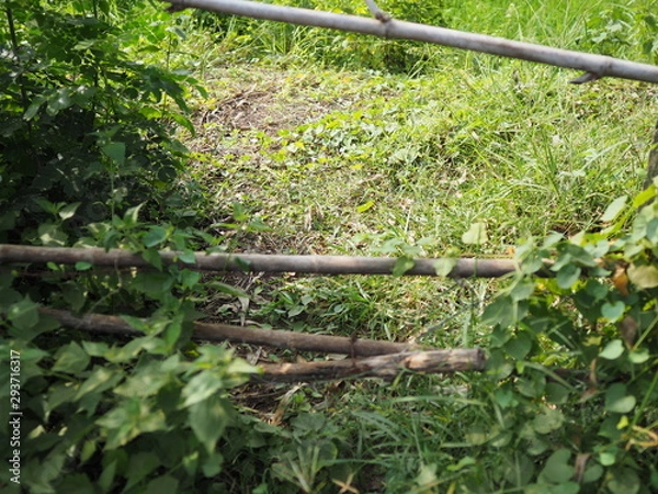 Obraz OLYMPUS DIGITAL CAMERA