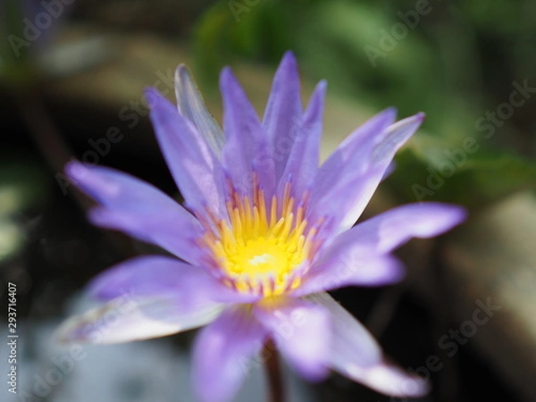 Obraz OLYMPUS DIGITAL CAMERA