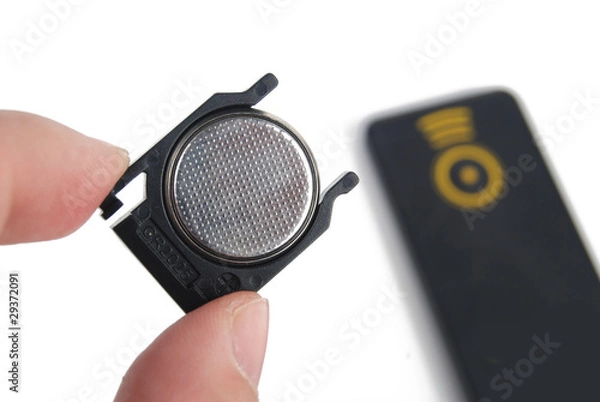 Obraz Remote control and button battery