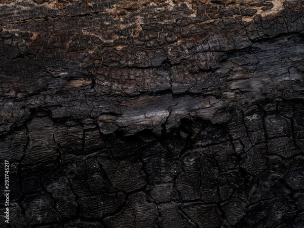 Fototapeta The Surface of charcoal background.