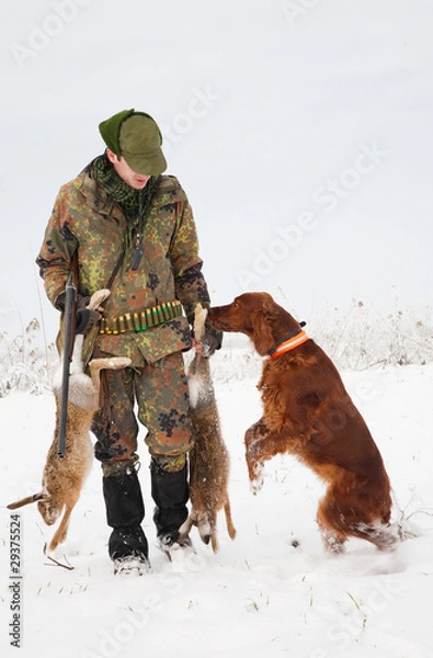 Fototapeta Hunter getting the hare from the dog