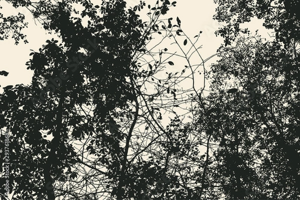 Fototapeta tree and branches silhouette. detailed vector illustration