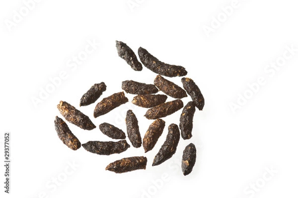 Obraz Granulki kupy od myszy