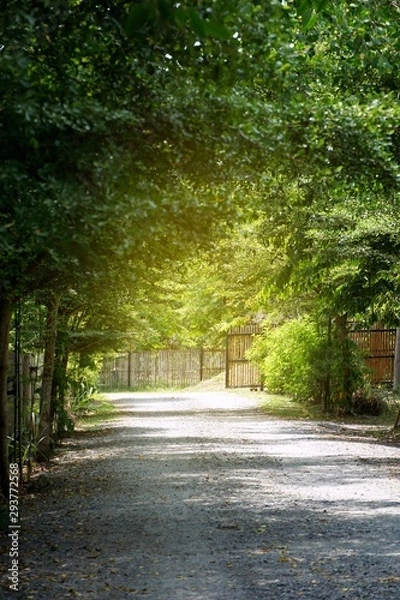 Fototapeta Road in the forest with sunshine, travel on natural concept, Space for text in template, Covered with trees, Vertical