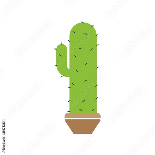 Fototapeta Cactus plant graphic design template vector isolated