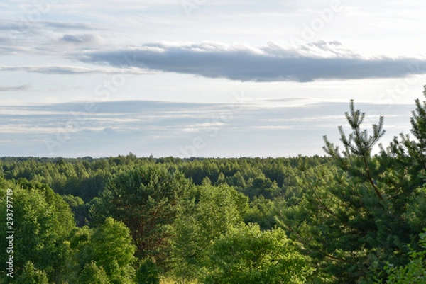 Fototapeta Sky with clouds over a dense forest.