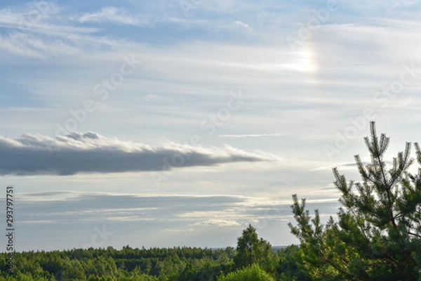 Fototapeta Sky with clouds over a dense forest.
