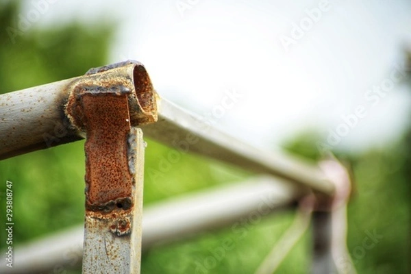 Fototapeta rusty barbed wire