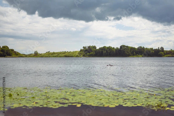 Fototapeta Riverbank, green algae, thunderstorm clouds
