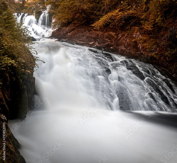 Obraz waterfall in the forest