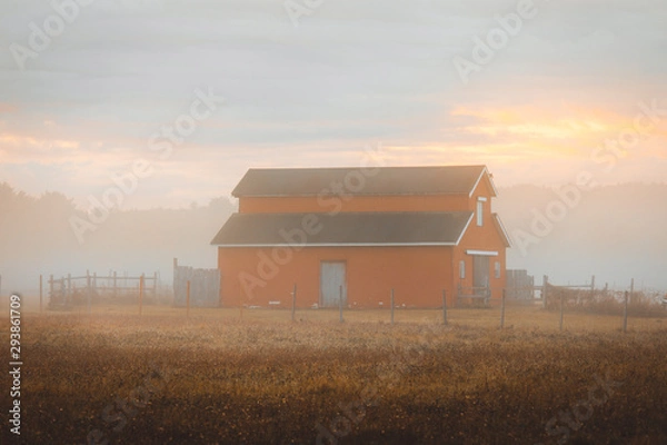 Obraz Misty Barn