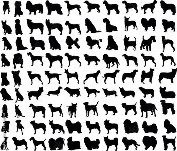 Fototapeta Vector illustration of various dogs silhouettes