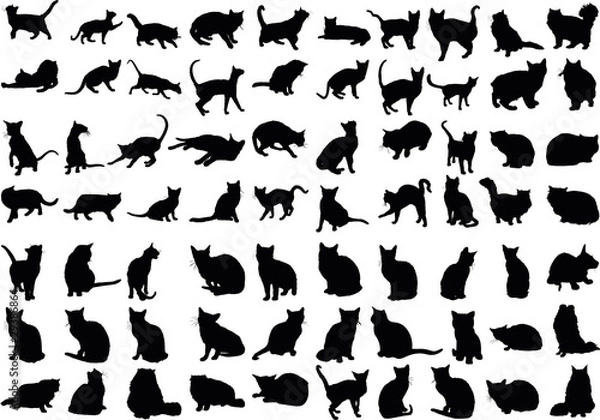 Fototapeta Vector illustration of various cats silhouettes