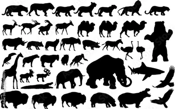 Fototapeta Vector illustration of various animals silhouettes