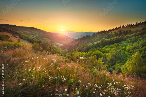 Fototapeta Serene flower field landscape in beautiful setting late summer towards autumn