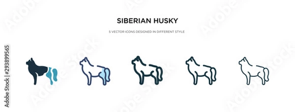 Fototapeta siberian husky icon in different style vector illustration. two colored and black siberian husky vector icons designed in filled, outline, line and stroke style can be used for web, mobile, ui
