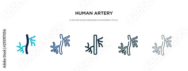 Fototapeta human artery icon in different style vector illustration. two colored and black human artery vector icons designed in filled, outline, line and stroke style can be used for web, mobile, ui