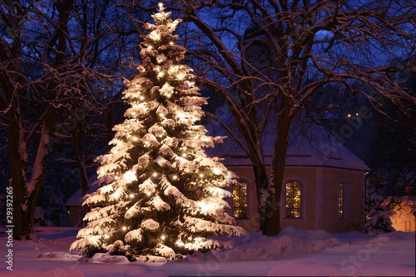 Obraz Weihnachtsbaum