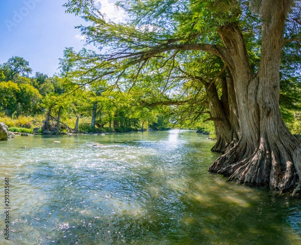 Obraz Guadalupe river