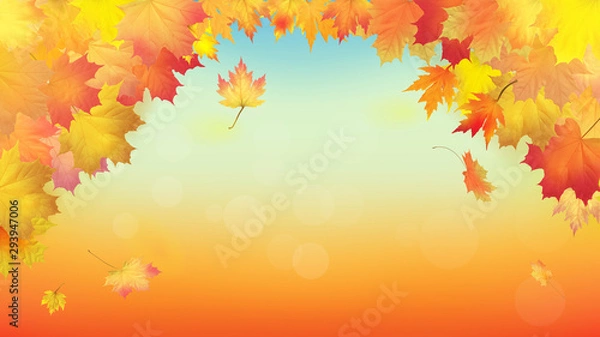 Fototapeta Maple leaves vector, autumn foliage. Background pattern
