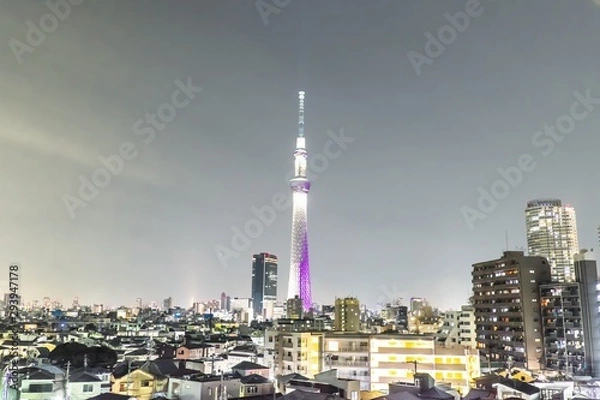 Obraz tokyo sky tree