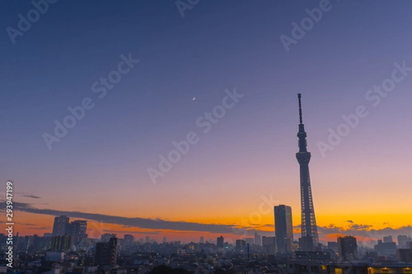 Obraz tokyo sky tree