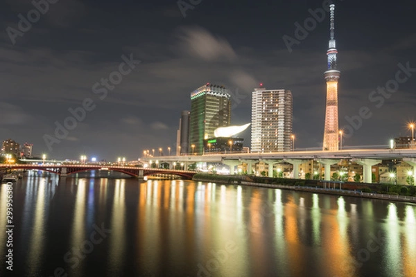 Obraz Tokyo sky tree