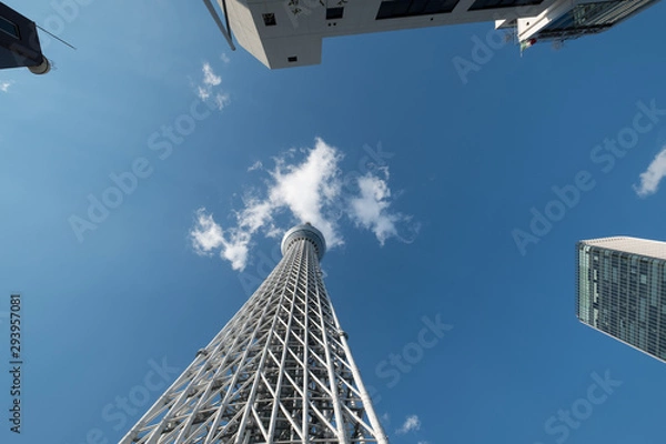 Obraz Tokyo Sky Tree