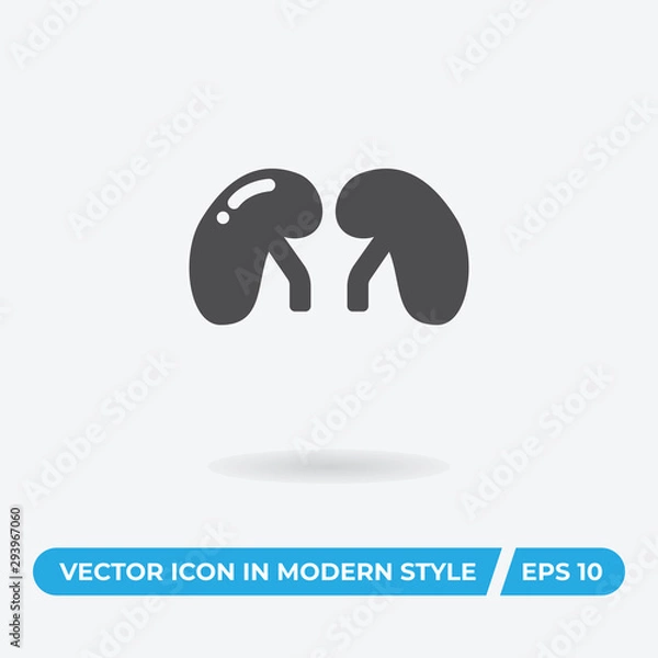 Fototapeta Kidneys vector icon, simple sign for web site and mobile app.