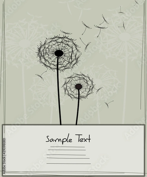 Obraz Grusskarte Pusteblume