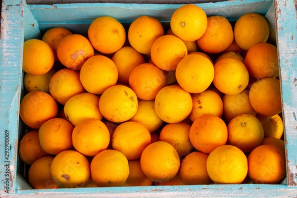 Fototapeta Blue box with fresh oranges just taken from the tree. Vitamin C concentrated in oranges, very nutritious and healthy fruits.