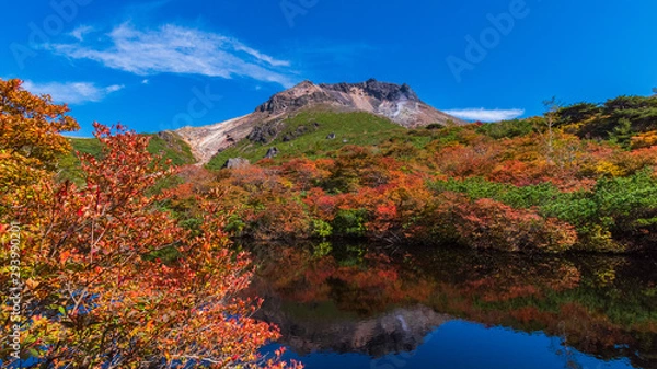 Fototapeta 那須岳(茶臼岳)　紅葉③